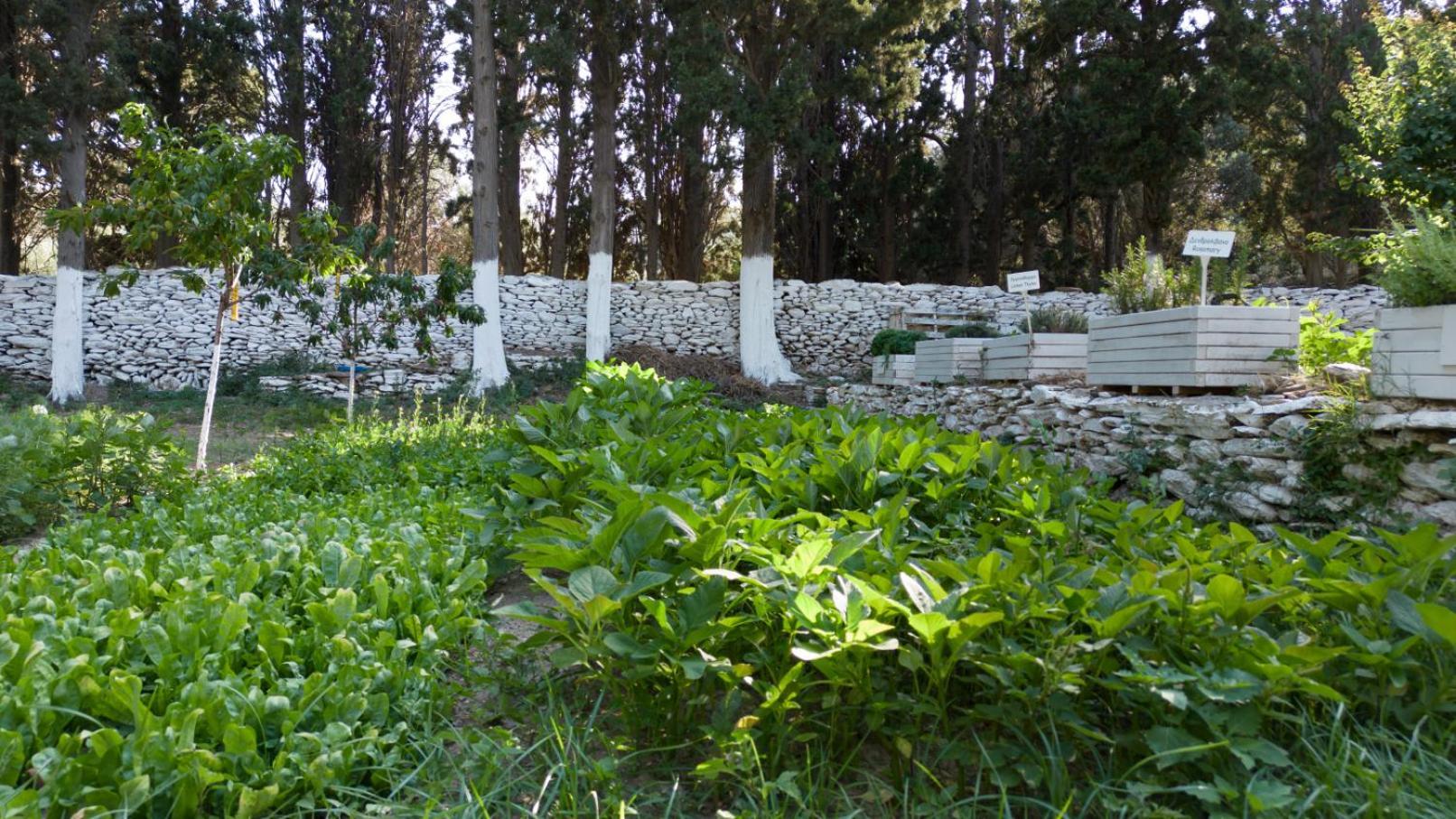 Votsalo Seaside Villa Piso Gialia Exterior photo